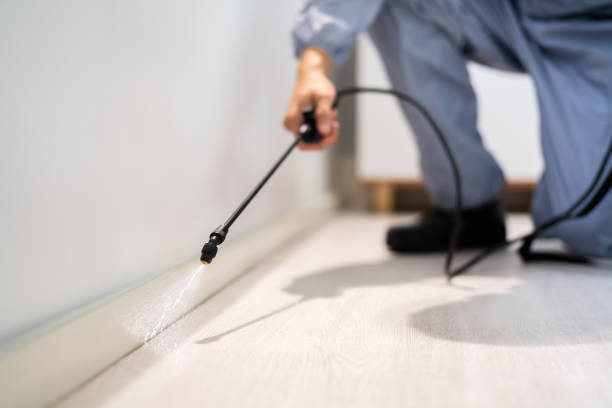 Licensed Termite Control service in Mount Pleasant, TN - Nex Pest Control
