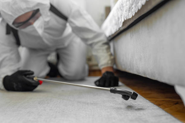 Professional Termite Control technician working in Mount Pleasant, TN