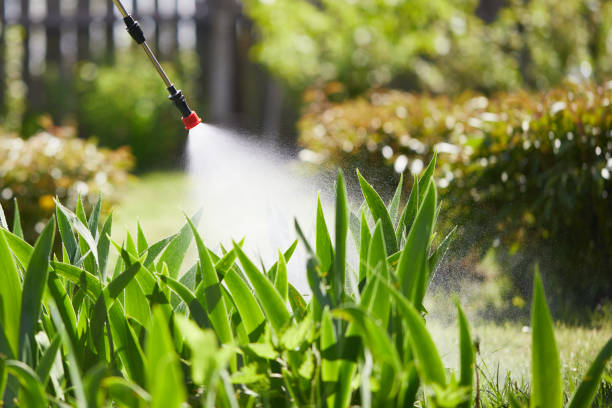 24/7 Emergency Termite Control experts in Mount Pleasant, TN