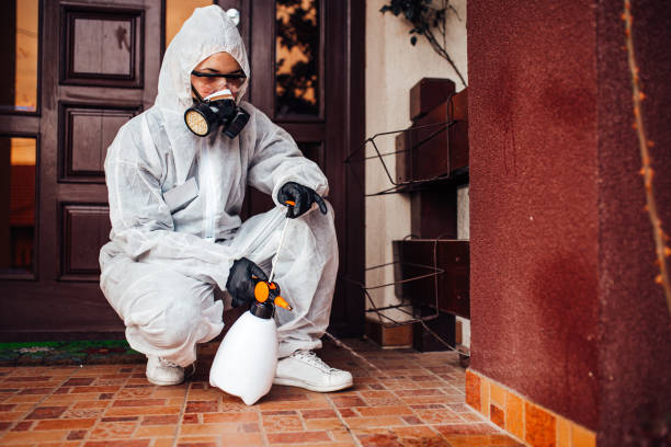 Reliable Termite Control contractor in Mount Pleasant, TN by Nex Pest Control