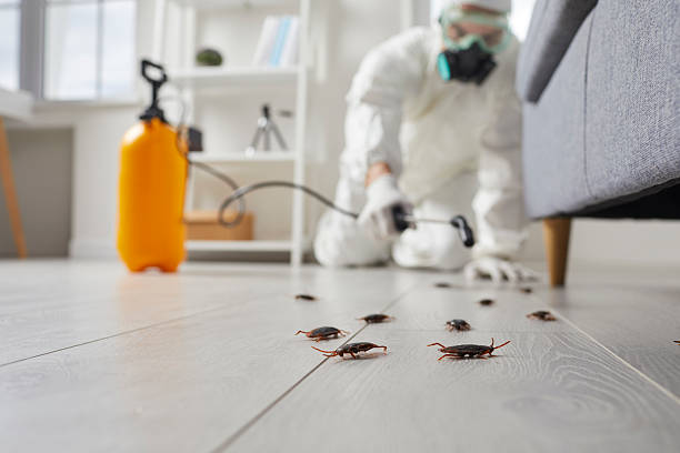 Affordable Termite Control solutions in Mount Pleasant, TN